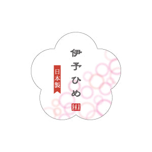 second-slide